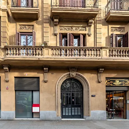 Caterina Universitat Barcelona