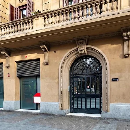 Caterina Universitat