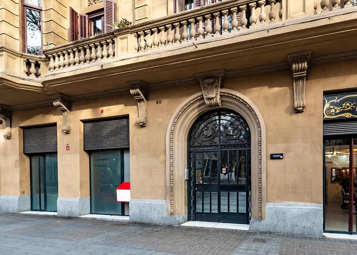 Caterina Universitat
